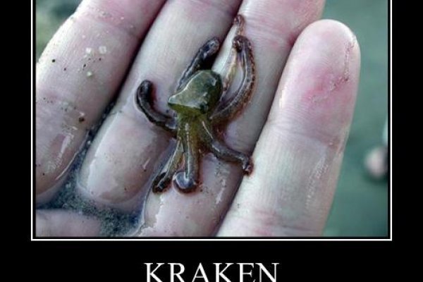 Kraken onion зеркала 2024